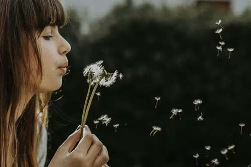 a woman and dandelions